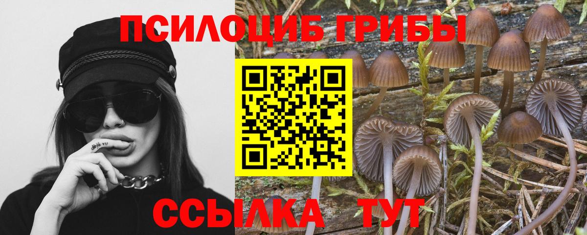 Псилоцибиновые грибы GOLDEN TEACHER Псков