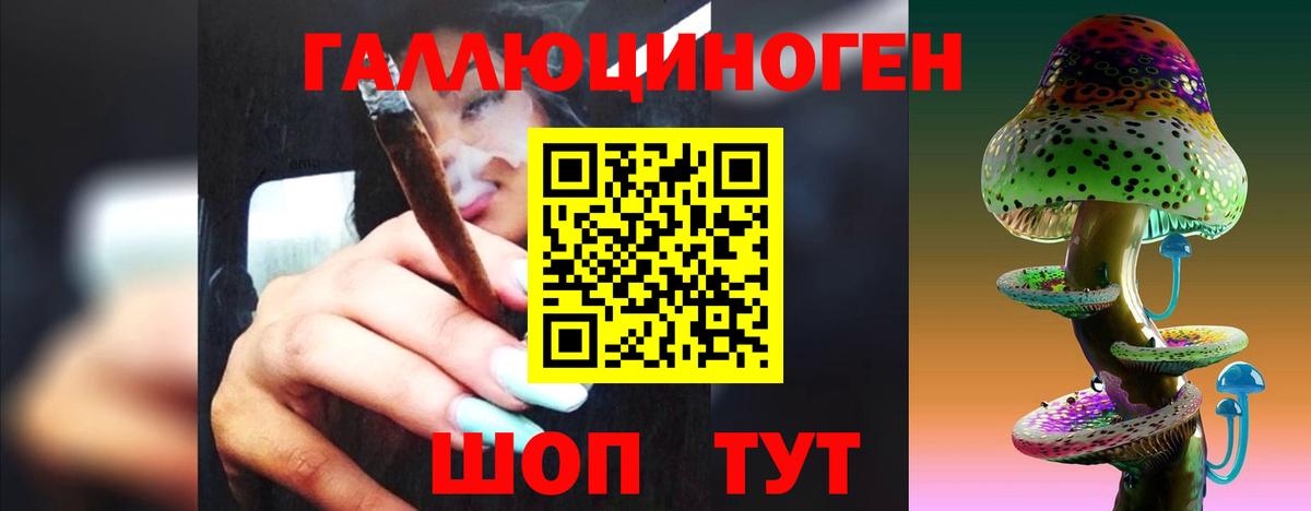 Псков  Псилоцибиновые грибы Psilocybine cubensis  Галлюциногенные грибы Psilocybine cubensis  Вход с VPN 